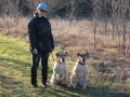 Karen training Poppy and Daphne