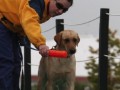 Karen coaching Daphne at DockDogs