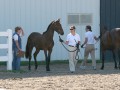 Faye's First Show