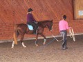 Longe Lesson